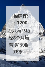 福建连江：1200万只海马历经8个月培育 迎来收获季