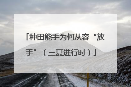 种田能手为何从容“放手”（三夏进行时）