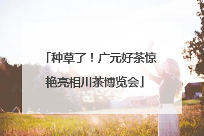种草了！广元好茶惊艳亮相川茶博览会