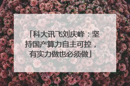 科大讯飞刘庆峰：坚持国产算力自主可控，有实力做也必须做