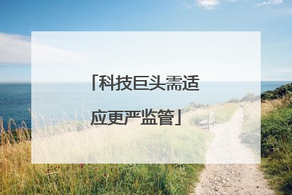 科技巨头需适应更严监管