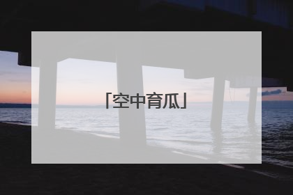 空中育瓜