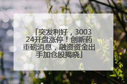 突发利好，300324开盘涨停！创新药重磅消息，融资资金出手加仓股揭晓