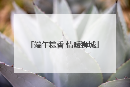 端午粽香 情暖狮城