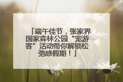 端午佳节，张家界国家森林公园“宠游客”活动带你解锁松弛感假期！