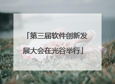第三届软件创新发展大会在光谷举行