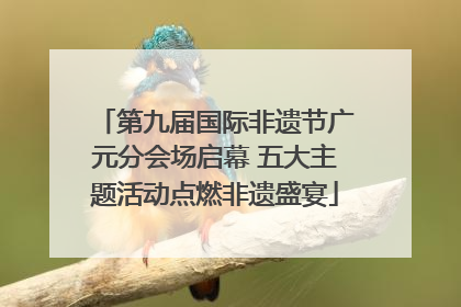 第九届国际非遗节广元分会场启幕 五大主题活动点燃非遗盛宴