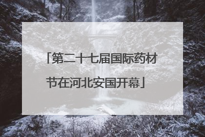 第二十七届国际药材节在河北安国开幕