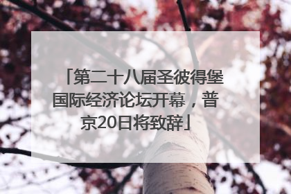 第二十八届圣彼得堡国际经济论坛开幕，普京20日将致辞