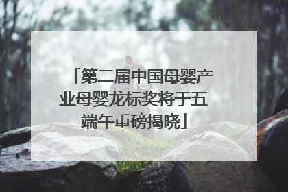 第二届中国母婴产业母婴龙标奖将于五端午重磅揭晓
