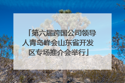 第六届跨国公司领导人青岛峰会山东省开发区专场推介会举行