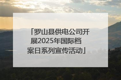 罗山县供电公司开展2025年国际档案日系列宣传活动