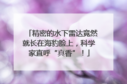 精密的水下雷达竟然就长在海豹脸上，科学家直呼“真香”！