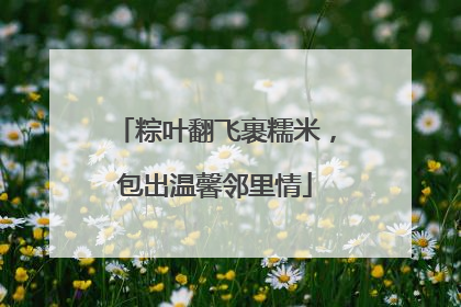 粽叶翻飞裹糯米，包出温馨邻里情