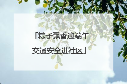 粽子飘香迎端午 交通安全进社区
