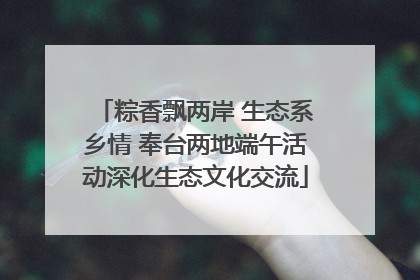 粽香飘两岸 生态系乡情 奉台两地端午活动深化生态文化交流