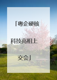 粤企硬核科技亮相上交会