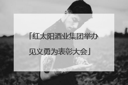 红太阳酒业集团举办见义勇为表彰大会