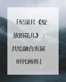 纪录片《绽放的花儿》：共绘融合发展时代画卷