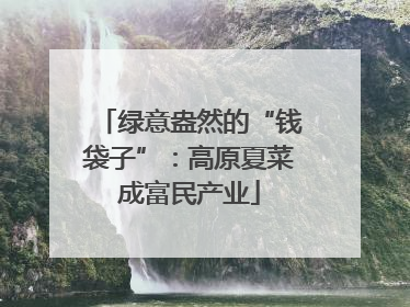 绿意盎然的“钱袋子”：高原夏菜成富民产业
