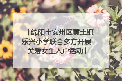绵阳市安州区黄土镇乐兴小学联合多方开展关爱女生入户活动