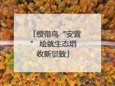 绶带鸟“安营” 绘就生态增收新景致
