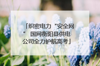 织密电力“安全网” 国网衡阳县供电公司全力护航高考