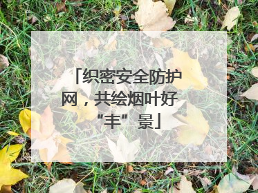织密安全防护网，共绘烟叶好“丰”景