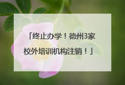 终止办学！德州3家校外培训机构注销！