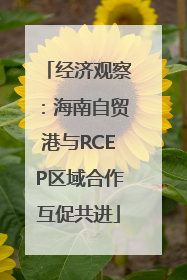 经济观察：海南自贸港与RCEP区域合作互促共进
