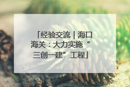经验交流｜海口海关：大力实施“三创一建”工程
