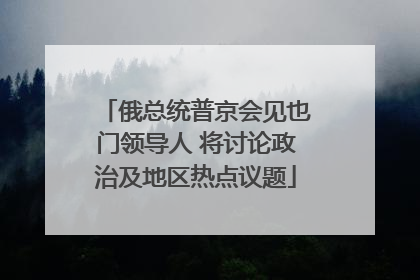 俄总统普京会见也门领导人 将讨论政治及地区热点议题