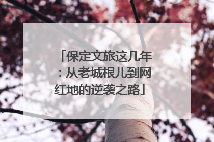 保定文旅这几年：从老城根儿到网红地的逆袭之路