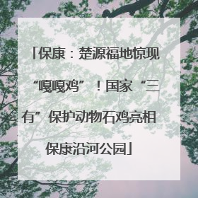 保康：楚源福地惊现“嘎嘎鸡”！国家“三有”保护动物石鸡亮相保康沿河公园