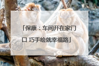 保康：车间开在家门口 巧手绘就幸福路