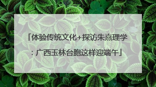 体验传统文化+探访朱熹理学：广西玉林台胞这样迎端午