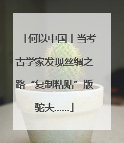 何以中国丨当考古学家发现丝绸之路“复制粘贴”版驼夫……