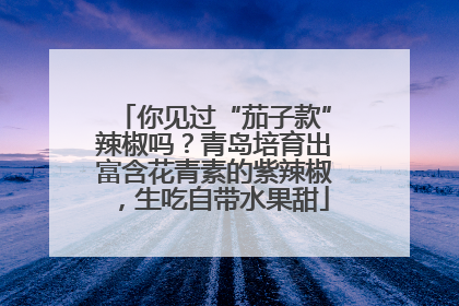 你见过“茄子款”辣椒吗？青岛培育出富含花青素的紫辣椒，生吃自带水果甜