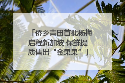 侨乡青田首批杨梅启程新加坡 保鲜提质售出“金果果”