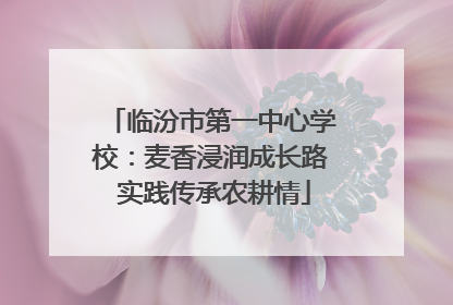 临汾市第一中心学校：麦香浸润成长路 实践传承农耕情