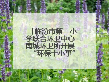临汾市第一小学联合环卫中心南城环卫所开展“环保十小事”主题宣讲活动