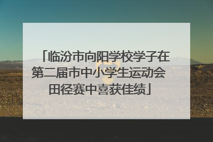 临汾市向阳学校学子在第二届市中小学生运动会田径赛中喜获佳绩
