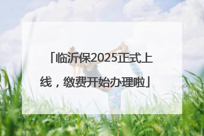 临沂保2025正式上线，缴费开始办理啦