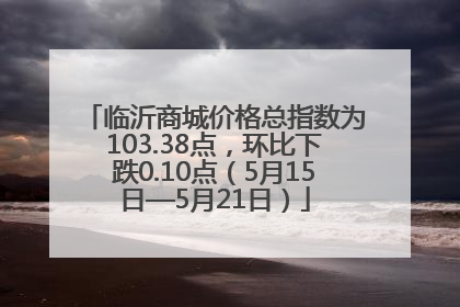 临沂商城价格总指数为103.38点，环比下跌0.10点（5月15日—5月21日）