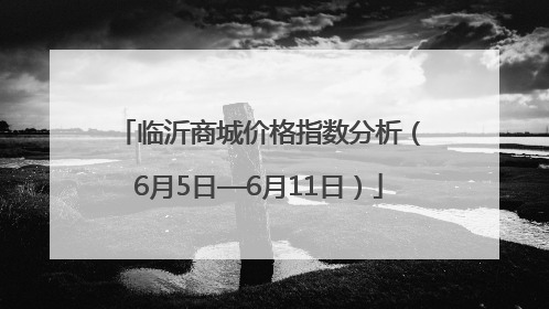 临沂商城价格指数分析（6月5日—6月11日）
