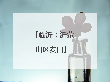临沂：沂蒙山区麦田