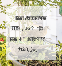 临港城市定向赛开跑，16个“隐藏副本”解锁年轻力新玩法