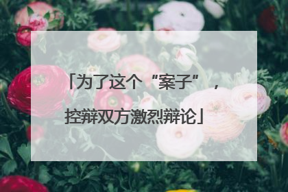 为了这个“案子”，控辩双方激烈辩论