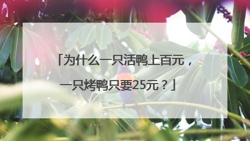 为什么一只活鸭上百元，一只烤鸭只要25元？