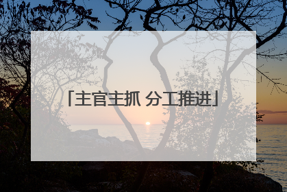 主官主抓 分工推进